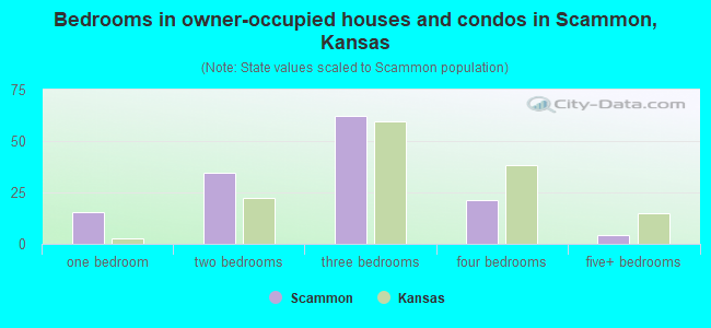 Bedrooms in owner-occupied houses and condos in Scammon, Kansas