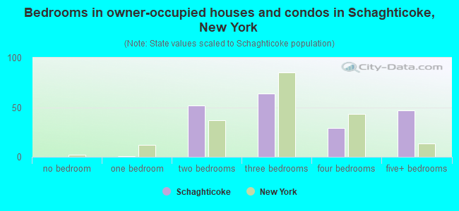 Bedrooms in owner-occupied houses and condos in Schaghticoke, New York