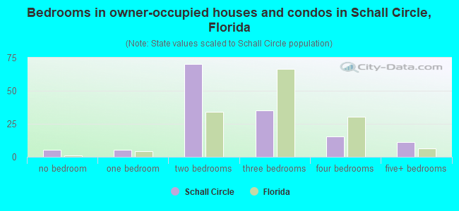 Bedrooms in owner-occupied houses and condos in Schall Circle, Florida
