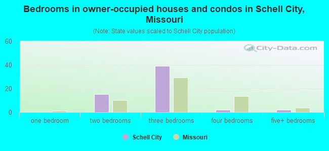 Bedrooms in owner-occupied houses and condos in Schell City, Missouri
