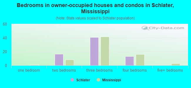 Bedrooms in owner-occupied houses and condos in Schlater, Mississippi