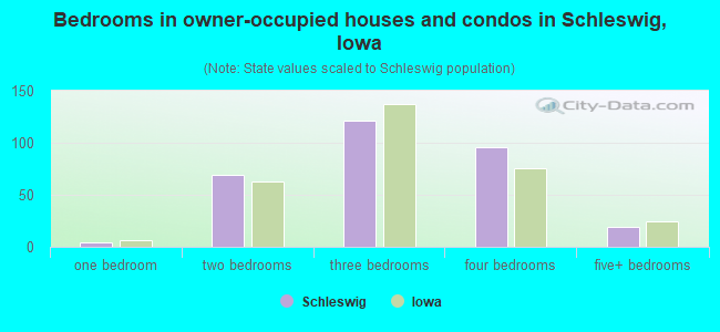 Bedrooms in owner-occupied houses and condos in Schleswig, Iowa