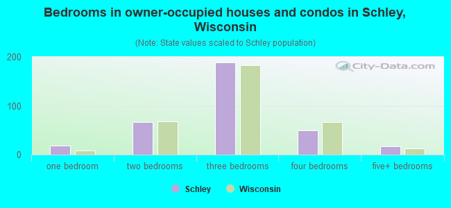 Bedrooms in owner-occupied houses and condos in Schley, Wisconsin