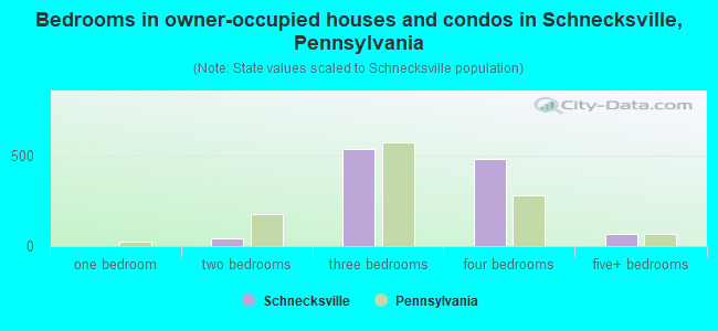 Bedrooms in owner-occupied houses and condos in Schnecksville, Pennsylvania