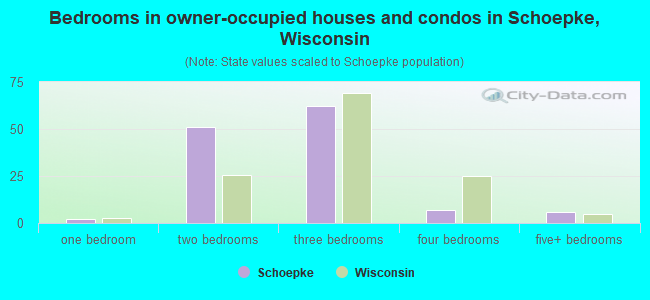 Bedrooms in owner-occupied houses and condos in Schoepke, Wisconsin