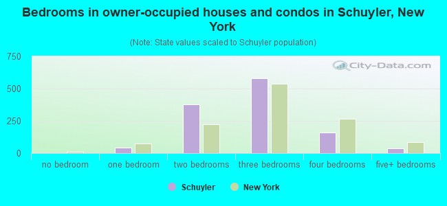 Bedrooms in owner-occupied houses and condos in Schuyler, New York