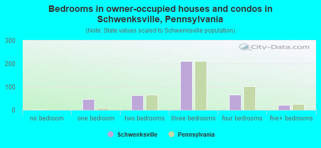 Bedrooms in owner-occupied houses and condos in Schwenksville, Pennsylvania