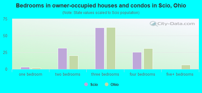 Bedrooms in owner-occupied houses and condos in Scio, Ohio