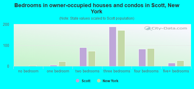 Bedrooms in owner-occupied houses and condos in Scott, New York