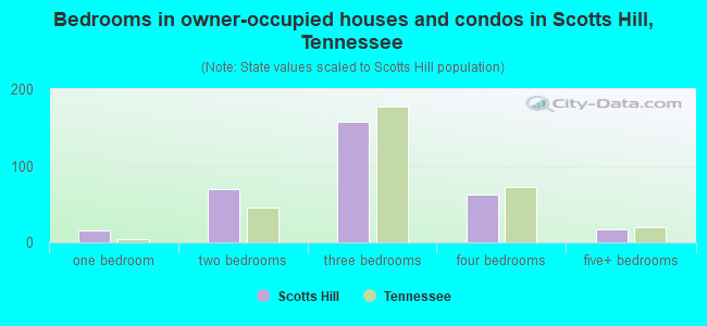 Bedrooms in owner-occupied houses and condos in Scotts Hill, Tennessee