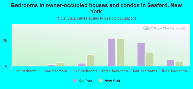 Bedrooms in owner-occupied houses and condos in Seaford, New York