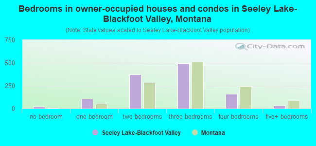 Bedrooms in owner-occupied houses and condos in Seeley Lake-Blackfoot Valley, Montana