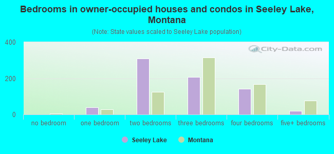 Bedrooms in owner-occupied houses and condos in Seeley Lake, Montana