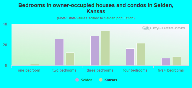 Bedrooms in owner-occupied houses and condos in Selden, Kansas