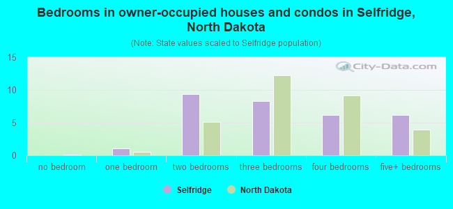 Bedrooms in owner-occupied houses and condos in Selfridge, North Dakota