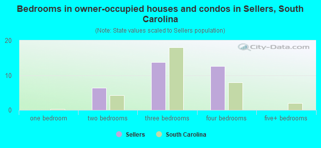 Bedrooms in owner-occupied houses and condos in Sellers, South Carolina