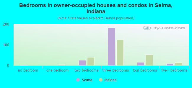 Bedrooms in owner-occupied houses and condos in Selma, Indiana