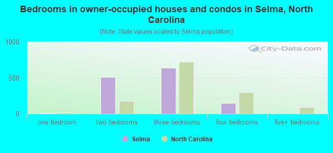 Bedrooms in owner-occupied houses and condos in Selma, North Carolina
