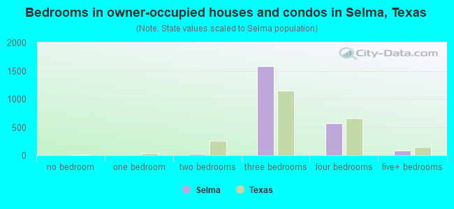 Bedrooms in owner-occupied houses and condos in Selma, Texas