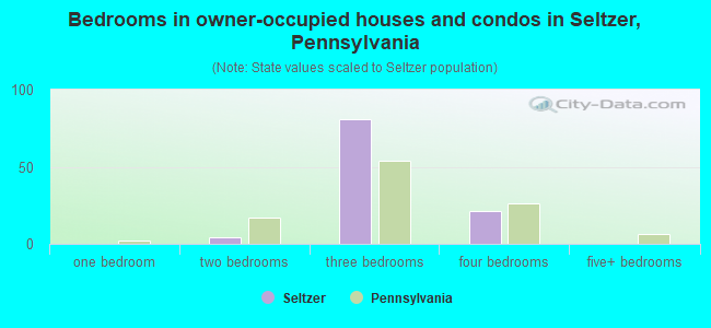 Bedrooms in owner-occupied houses and condos in Seltzer, Pennsylvania