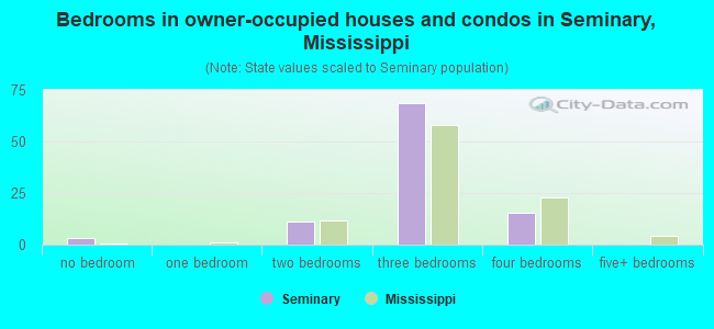 Bedrooms in owner-occupied houses and condos in Seminary, Mississippi
