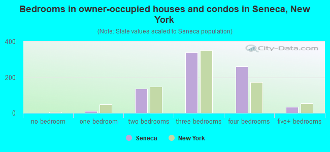 Bedrooms in owner-occupied houses and condos in Seneca, New York