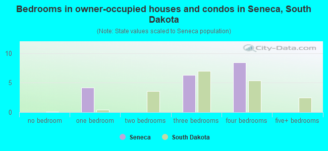 Bedrooms in owner-occupied houses and condos in Seneca, South Dakota