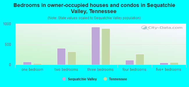 Bedrooms in owner-occupied houses and condos in Sequatchie Valley, Tennessee