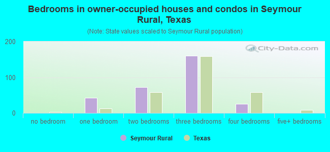 Bedrooms in owner-occupied houses and condos in Seymour Rural, Texas