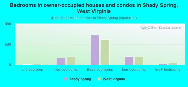 Bedrooms in owner-occupied houses and condos in Shady Spring, West Virginia