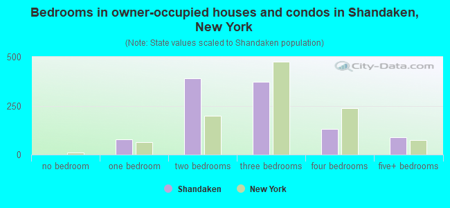 Bedrooms in owner-occupied houses and condos in Shandaken, New York