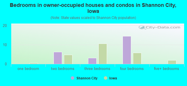 Bedrooms in owner-occupied houses and condos in Shannon City, Iowa