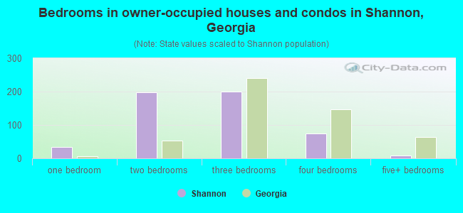 Bedrooms in owner-occupied houses and condos in Shannon, Georgia
