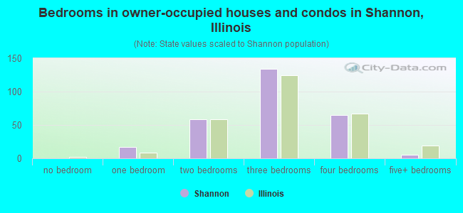 Bedrooms in owner-occupied houses and condos in Shannon, Illinois