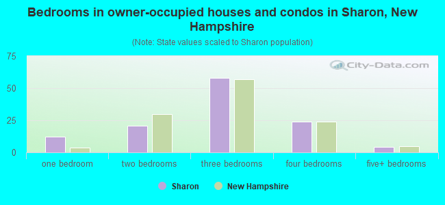 Bedrooms in owner-occupied houses and condos in Sharon, New Hampshire