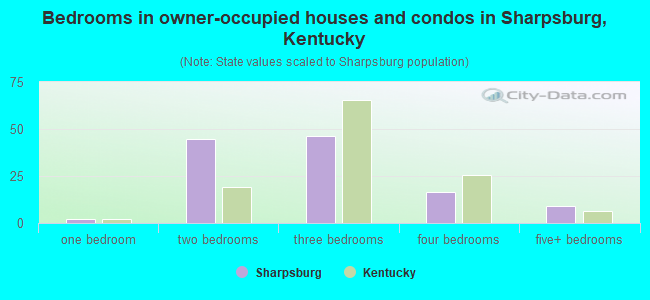 Bedrooms in owner-occupied houses and condos in Sharpsburg, Kentucky