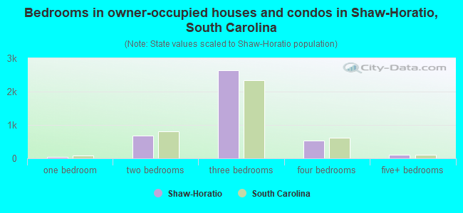 Bedrooms in owner-occupied houses and condos in Shaw-Horatio, South Carolina
