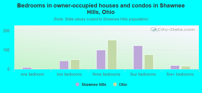 Bedrooms in owner-occupied houses and condos in Shawnee Hills, Ohio