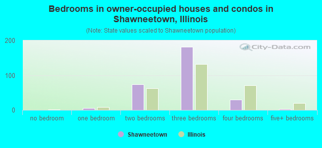 Bedrooms in owner-occupied houses and condos in Shawneetown, Illinois