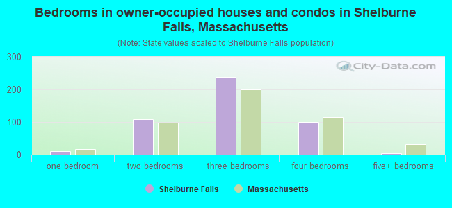 Bedrooms in owner-occupied houses and condos in Shelburne Falls, Massachusetts