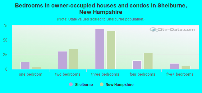 Bedrooms in owner-occupied houses and condos in Shelburne, New Hampshire