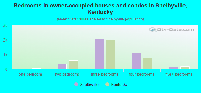 Bedrooms in owner-occupied houses and condos in Shelbyville, Kentucky