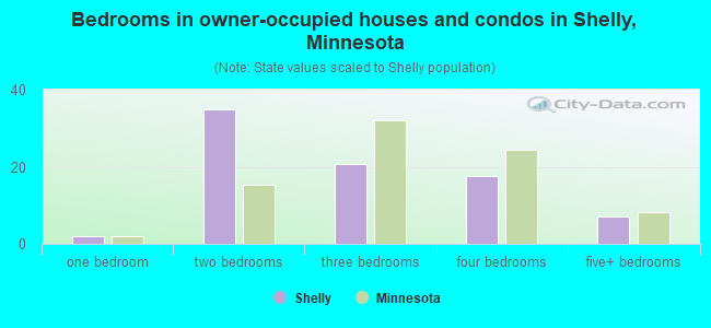 Bedrooms in owner-occupied houses and condos in Shelly, Minnesota