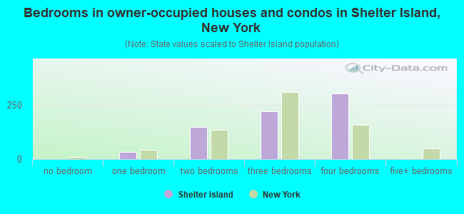 Bedrooms in owner-occupied houses and condos in Shelter Island, New York
