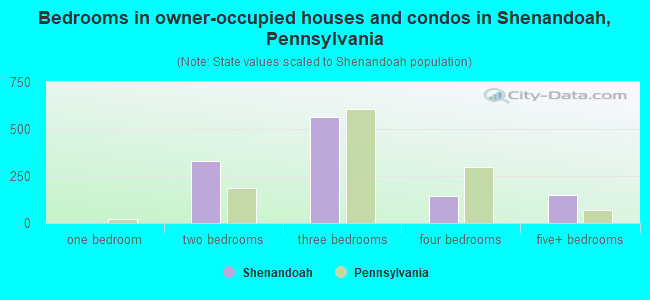 Bedrooms in owner-occupied houses and condos in Shenandoah, Pennsylvania