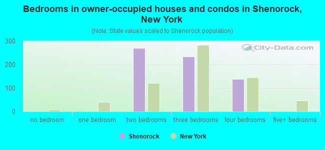 Bedrooms in owner-occupied houses and condos in Shenorock, New York