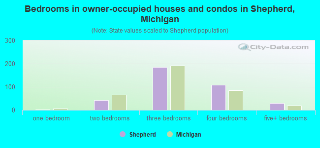 Bedrooms in owner-occupied houses and condos in Shepherd, Michigan