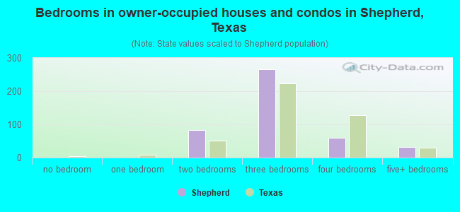 Bedrooms in owner-occupied houses and condos in Shepherd, Texas