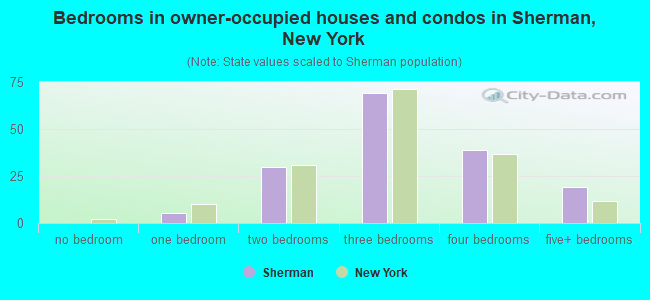 Bedrooms in owner-occupied houses and condos in Sherman, New York
