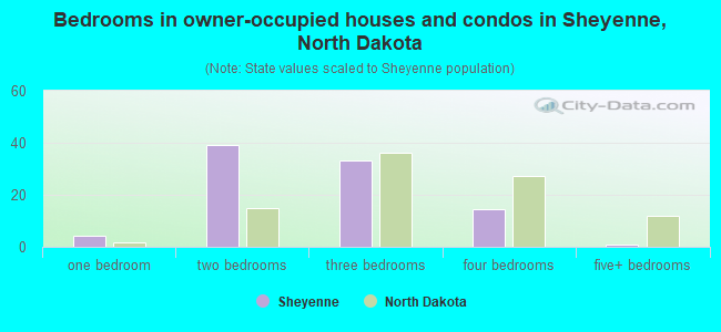 Bedrooms in owner-occupied houses and condos in Sheyenne, North Dakota